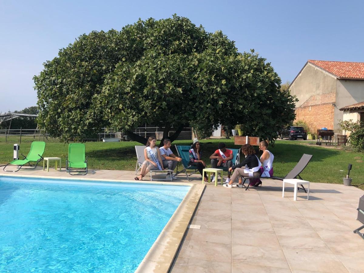 Domaine De L'Ile - Gites Et Chambres D'Hotes Castelsarrasin Zewnętrze zdjęcie